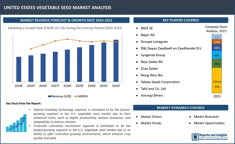 United States Vegetable Seed Market Report, By Breeding Technology (Hybrids, Open Pollinated Varieties & Hybrid Derivatives), By Cultivation Mechanism (Open Field, Protected Cultivation), By Crop Family (Brassicas, Cucurbits, Roots & Bulbs, Solanaceae, Unclassified Vegetables), and Regions 2024-2032 